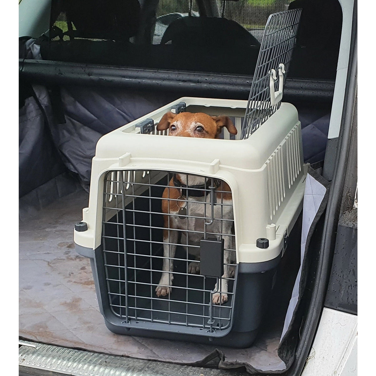 Pet carriers & clearance crates