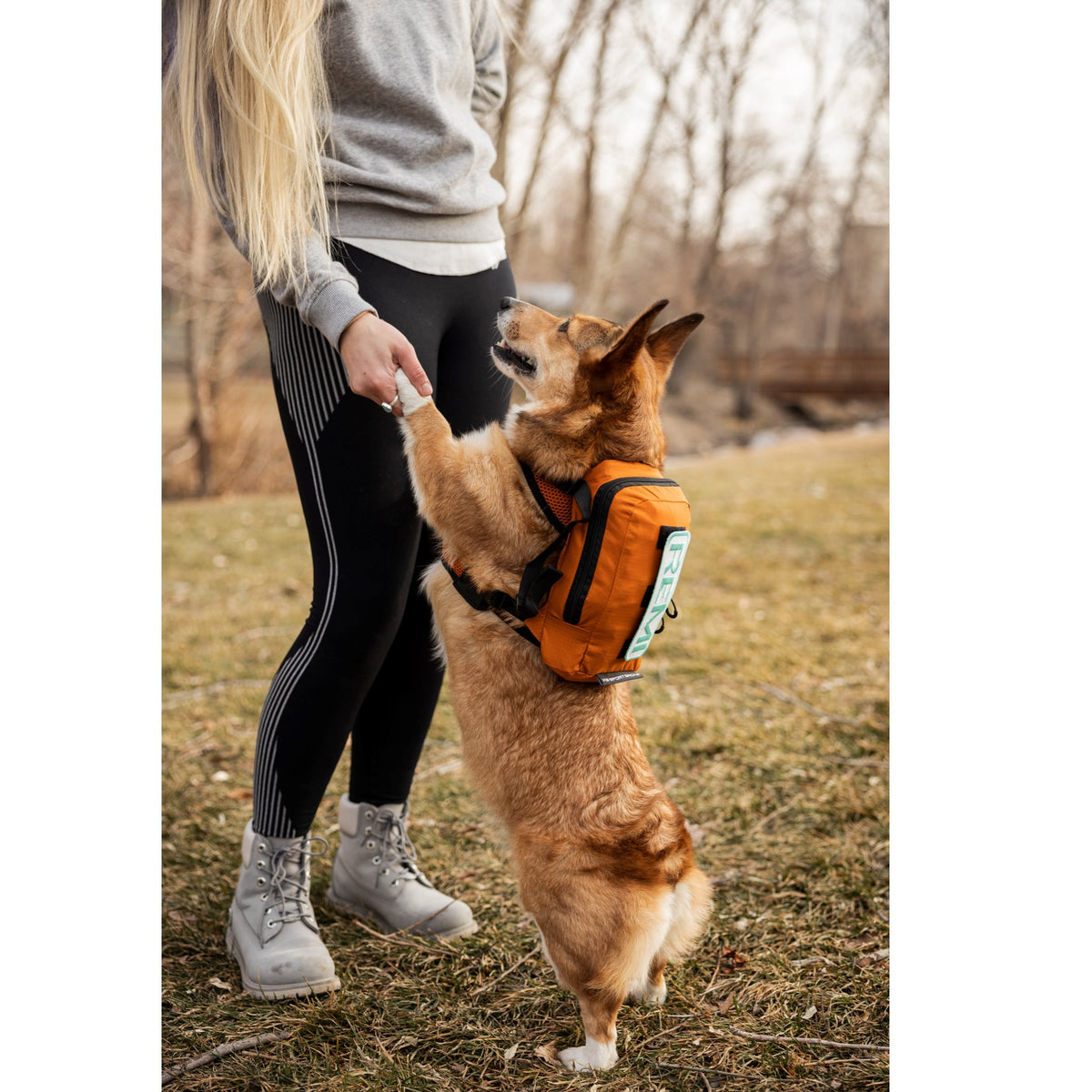 Dog sport outlet sack