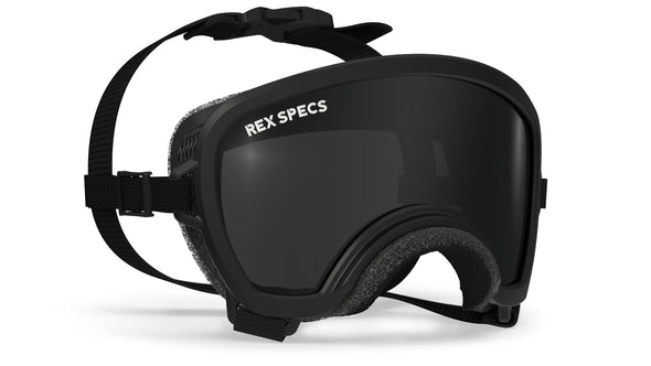 Rex Specs V2 Dog Goggles (NEW) Ski & Snowboard Goggles RexSpecs Small-Wide (Original) Black 