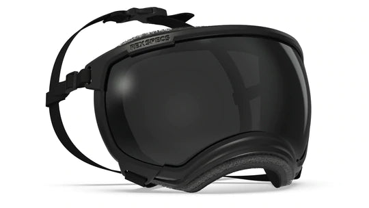 Rex Specs V2 Dog Goggles Ski & Snowboard Goggles RexSpecs X-Large Black 