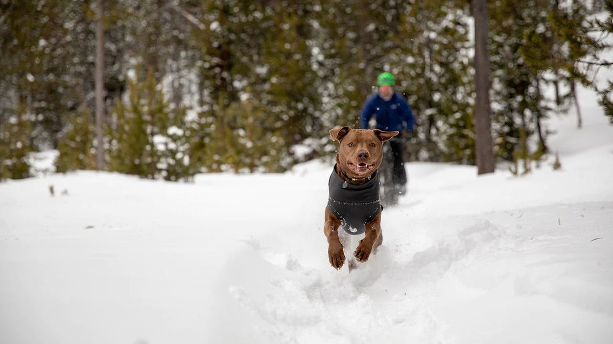 Ruffwear Climate Changer Dog Fleece Pullover