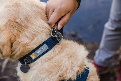 Ruffwear Front Range Dog Collar Pet Collars & Harnesses Ruffwear 