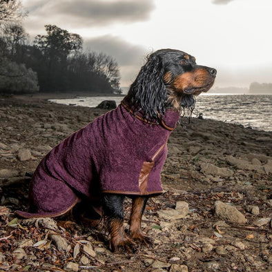 10 Reasons You Want a Ruff and Tumble Dog Coat for Your Best Friend