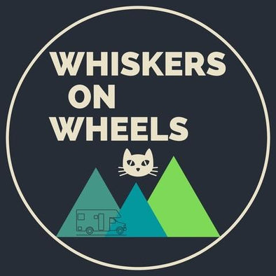 Can I Road Trip With a Cat? Whiskers On Wheels Blog