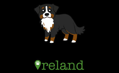 Dog Friendly Ireland
