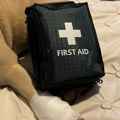 How Do You Give Your Dog First Aid?