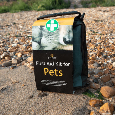 What Should Be In a Dog First Aid Kit?