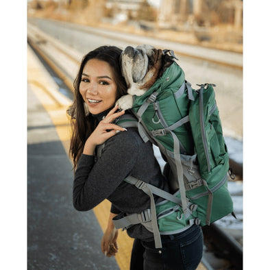 What to Put in a Dog Walking Bag: Dog Walking Essentials