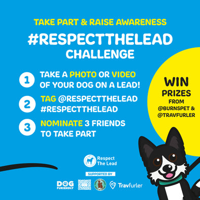 WIN WITH: Respect The Lead challenge & Cats On Leash Awareness Month