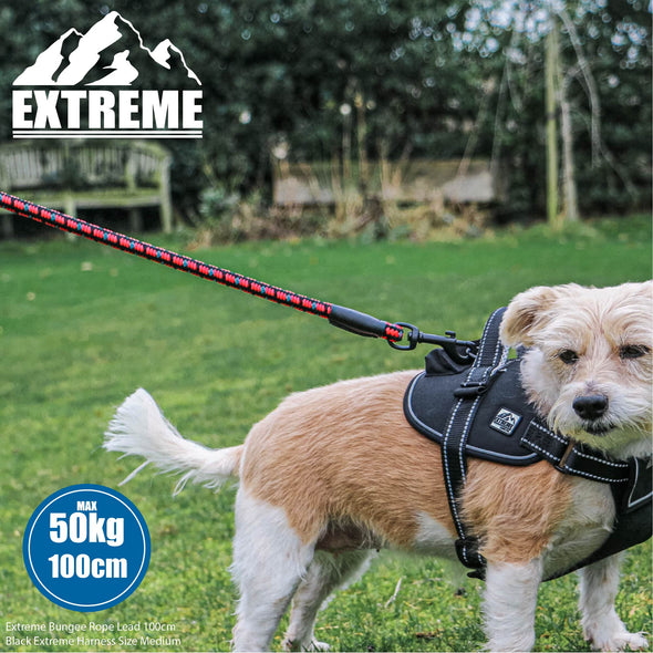 Ancol Extreme Shock Absorb Rope Lead Pet Leashes Ancol 