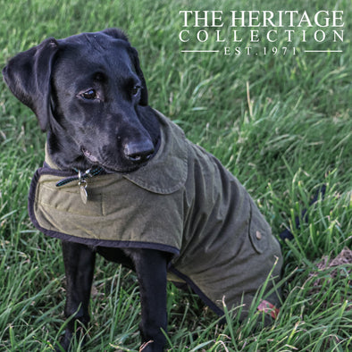 Ancol Heritage Collection Waxed Dog Coat Dog Apparel Ancol 