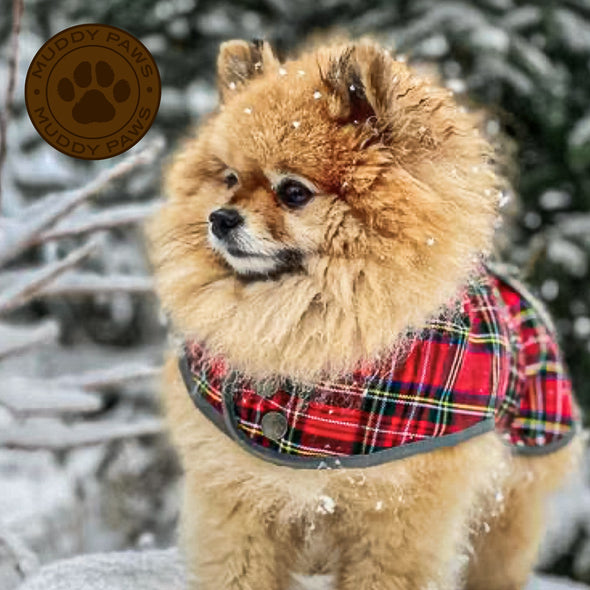 Ancol Highland Tartan Dog Coat Dog Apparel Ancol 