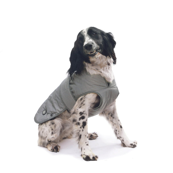 Ancol Ultimate Reflective Dog Coat Dog Apparel Ancol XS 