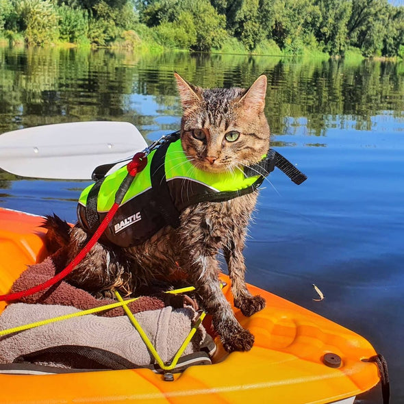 Baltic Cat Life Jacket - Buoyancy Aid Buoyancy Aid Baltic LifeJackets Sweden 