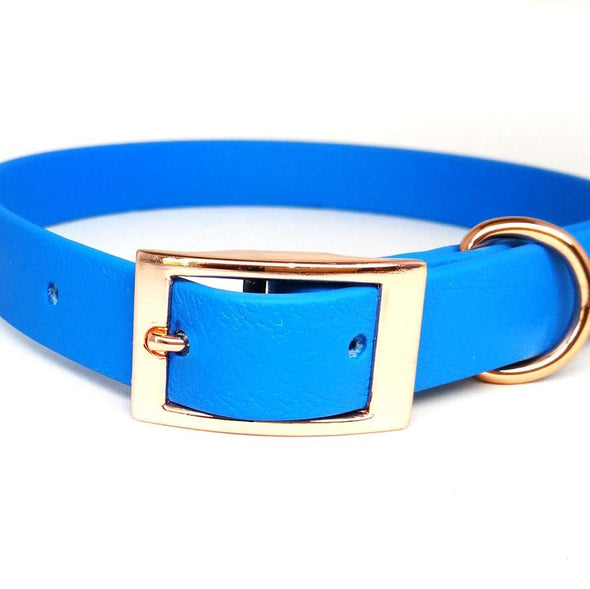 BioThane Waterproof Dog Collars collar Travfurler Ltd Small Cerulean (BU521) Stainless Steel