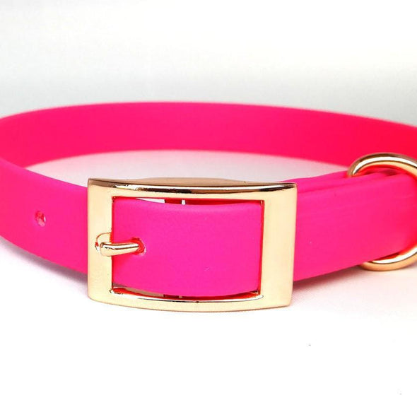 BioThane Waterproof Dog Collars collar Travfurler Ltd Small Hot Pink (PK521) Stainless Steel