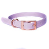 BioThane Waterproof Dog Collars collar Travfurler Ltd Small Lilac Stainless Steel