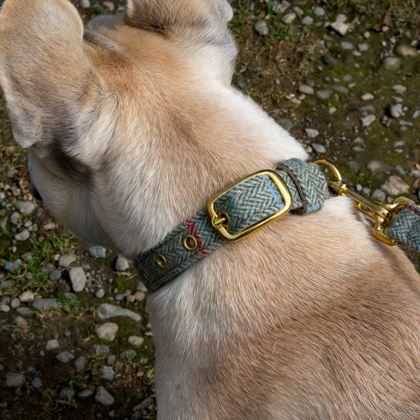 Tweed Dog Collar – Travfurler