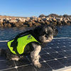 Buoyancy Aid for Dogs - Zorro Buoyancy Aid Baltic LifeJackets Sweden 