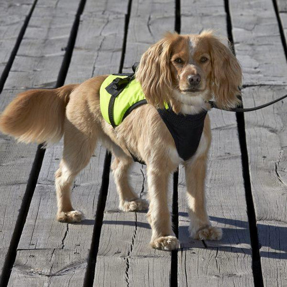 Buoyancy Aid for Dogs - Zorro Buoyancy Aid Baltic LifeJackets Sweden 