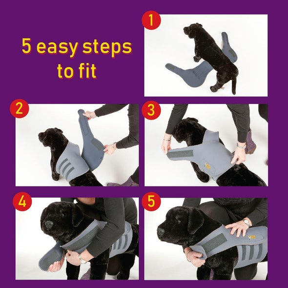 Calming Wrap for Anxious Dogs When Travelling Calming Wrap PetLife 