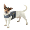 Calming Wrap for Anxious Dogs When Travelling Calming Wrap PetLife Small 