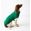 Canine & Co The Jazz Dog Jumper Dog Apparel Travfurler 