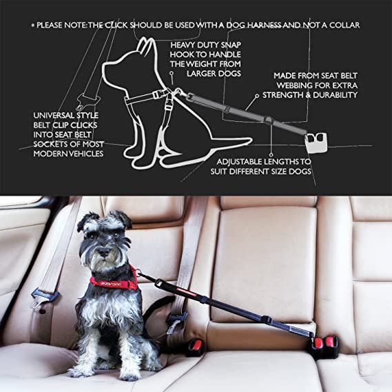 Click Adjustable Dog Seat Belt - Ezy Dog – Travfurler