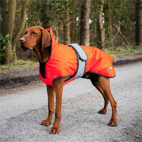 Danish Design 2 in 1 Dog Coat - Waterproof Coat Danish Design 30cm Orange 