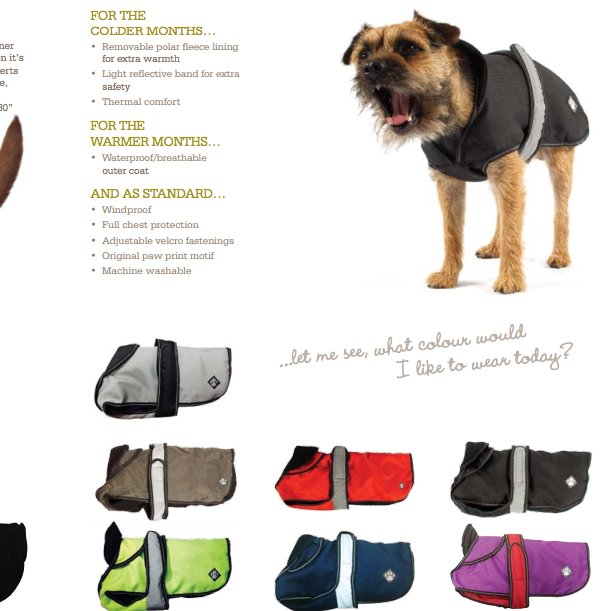 Dog Coat with Chest Protector - 2-in-1 Ultimate Dog Coat