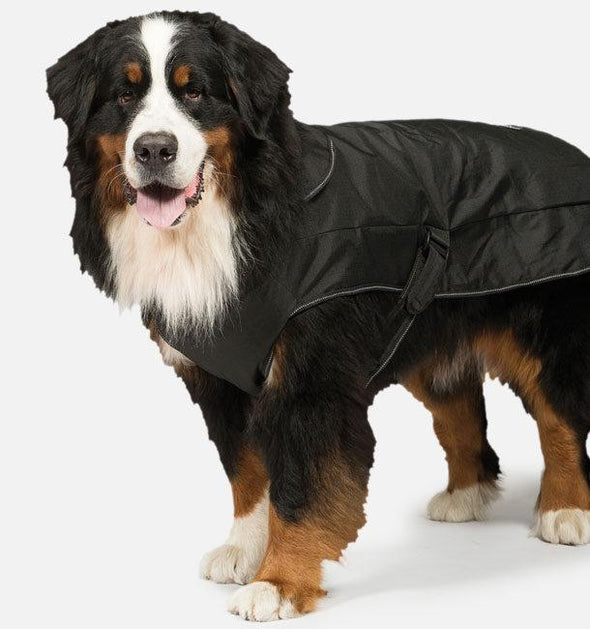 Danish Design 2 in 1 Dog Coat with Harness Hole Dog Apparel Danish Design 25cm Black 