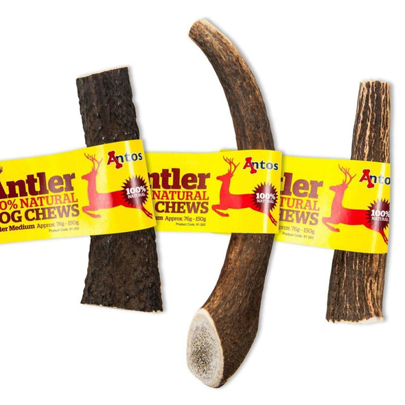 Deer Antlers for Dogs - Antos Chew Antos Medium 