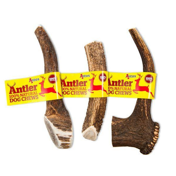Deer Antlers for Dogs - Antos Chew Antos Small 