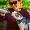 Dog Travel Water Bottle - Long Paws water bottle Long Paws 