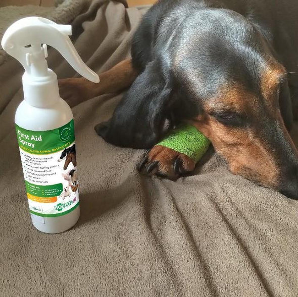 Emergency Pet First Aid Spray - Aqueos plaster Aqueos 