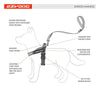 Express Harness with Exchangeable Side Patches - EzyDog Dog Harness Ezy Dog 