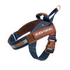 Express Harness with Exchangeable Side Patches - EzyDog Dog Harness Ezy Dog XS Denim (COMING SOON) 