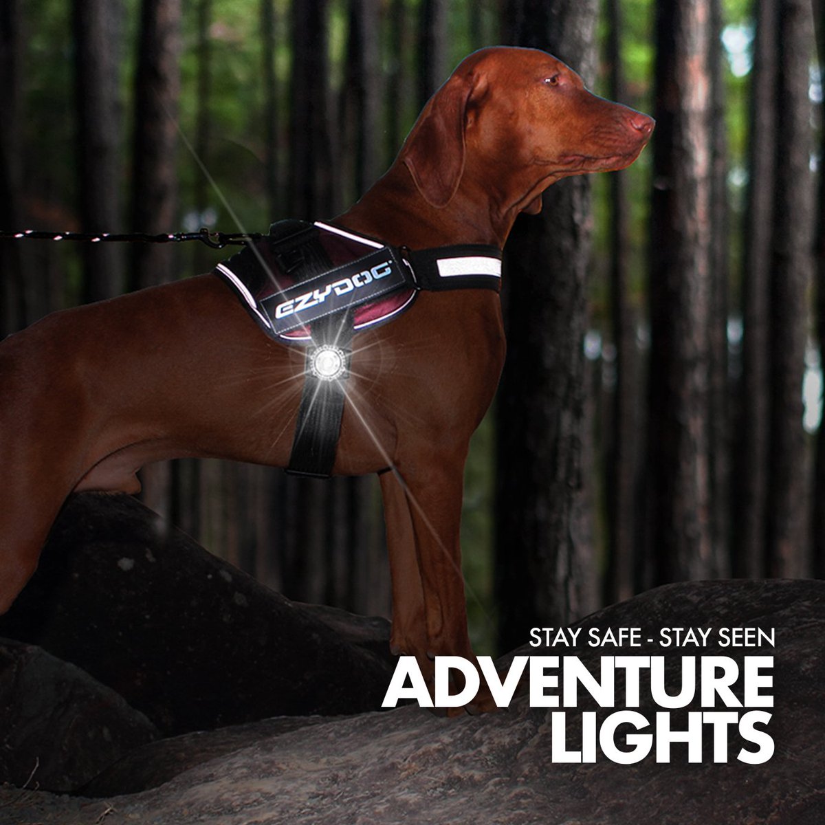 Adventure Lights Safety Lighting