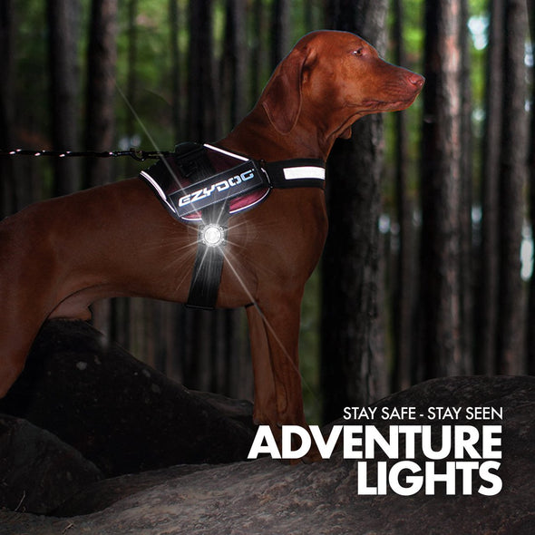 EzyDog Adventure Dog Light Night Lights & Ambient Lighting Ezy Dog 
