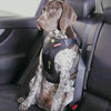 EzyDog Car Harness Drive - Safety Tested Harness Ezy Dog Large 