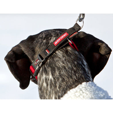 EzyDog Checkmate Collar Pet Collars & Harnesses Ezy Dog 