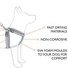 EzyDog Chest Plate Harness For Dogs + Seat Belt Loop Dog Harness Ezy Dog 