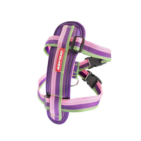 EzyDog Chest Plate Harness For Dogs + Seat Belt Loop Dog Harness Ezy Dog XXS Bubble Gum 