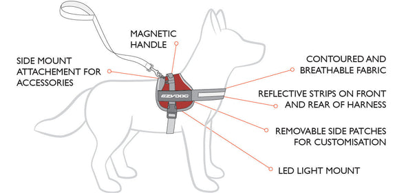 EzyDog Convert Adjustable Dog Harness Pet Collars & Harnesses Ezy Dog 