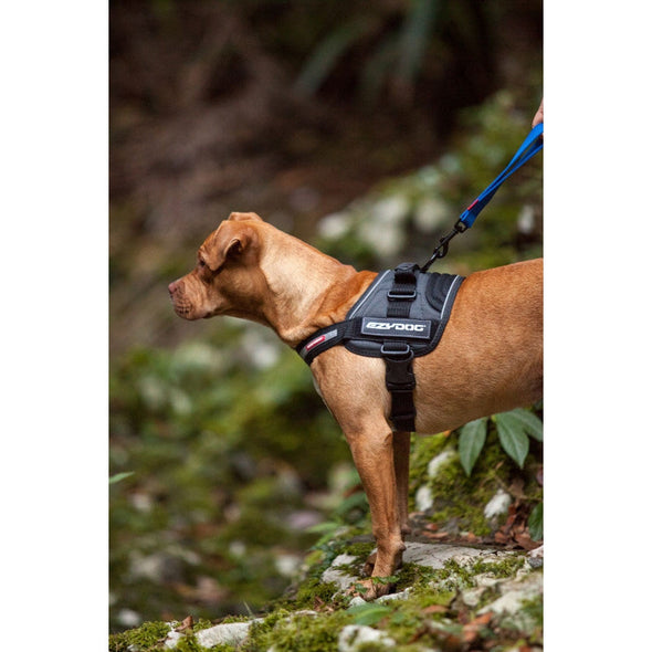 EzyDog Convert Adjustable Dog Harness Pet Collars & Harnesses Ezy Dog 