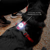 EzyDog Go-2 Dog Lights (Coming Soon) Night Lights & Ambient Lighting Ezy Dog 