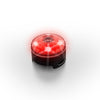EzyDog Go-2 Dog Lights (Coming Soon) Night Lights & Ambient Lighting Ezy Dog Single Colour (Red) 