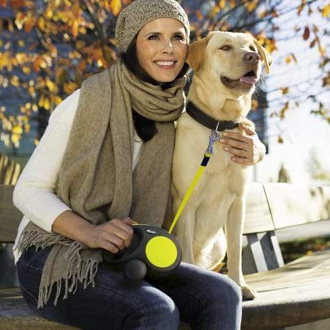 Flexi Retractable New Safety + The Neon Dog Leash 3-5 M Retractable Leash Flexi 