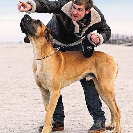 Giant Retractable Pet Flexi Leash For Big Dogs Retractable Leash Flexi 