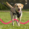 Halti Dog Training Lead Pet Collars & Harnesses Halti 